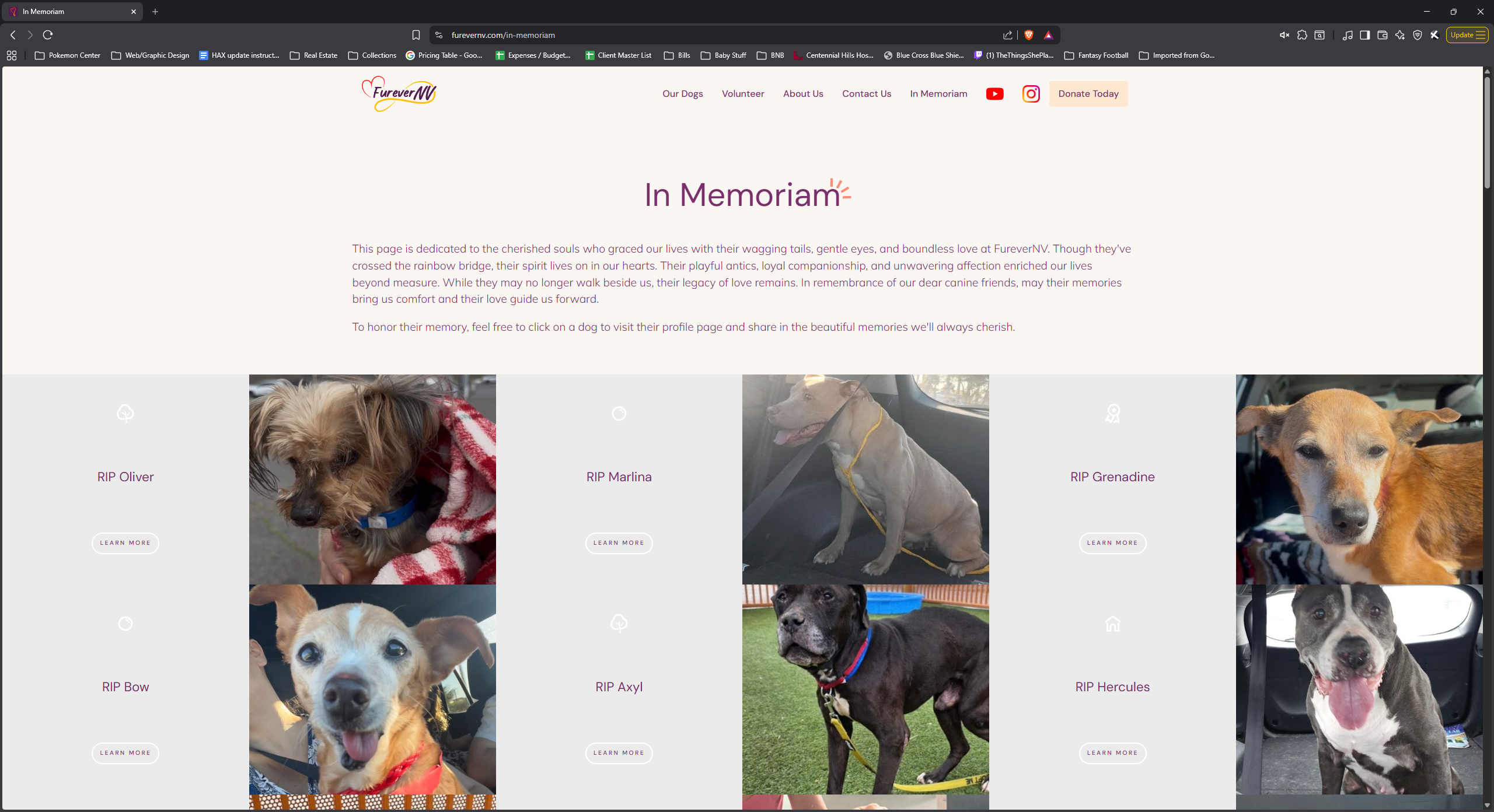 FureverNV In Memoriam page — honoring the dogs who passed while in the foundation's care